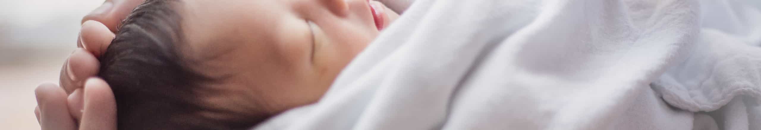 キービジュアルの画像